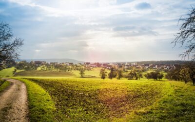 Council Adopts Nature Restoration Law