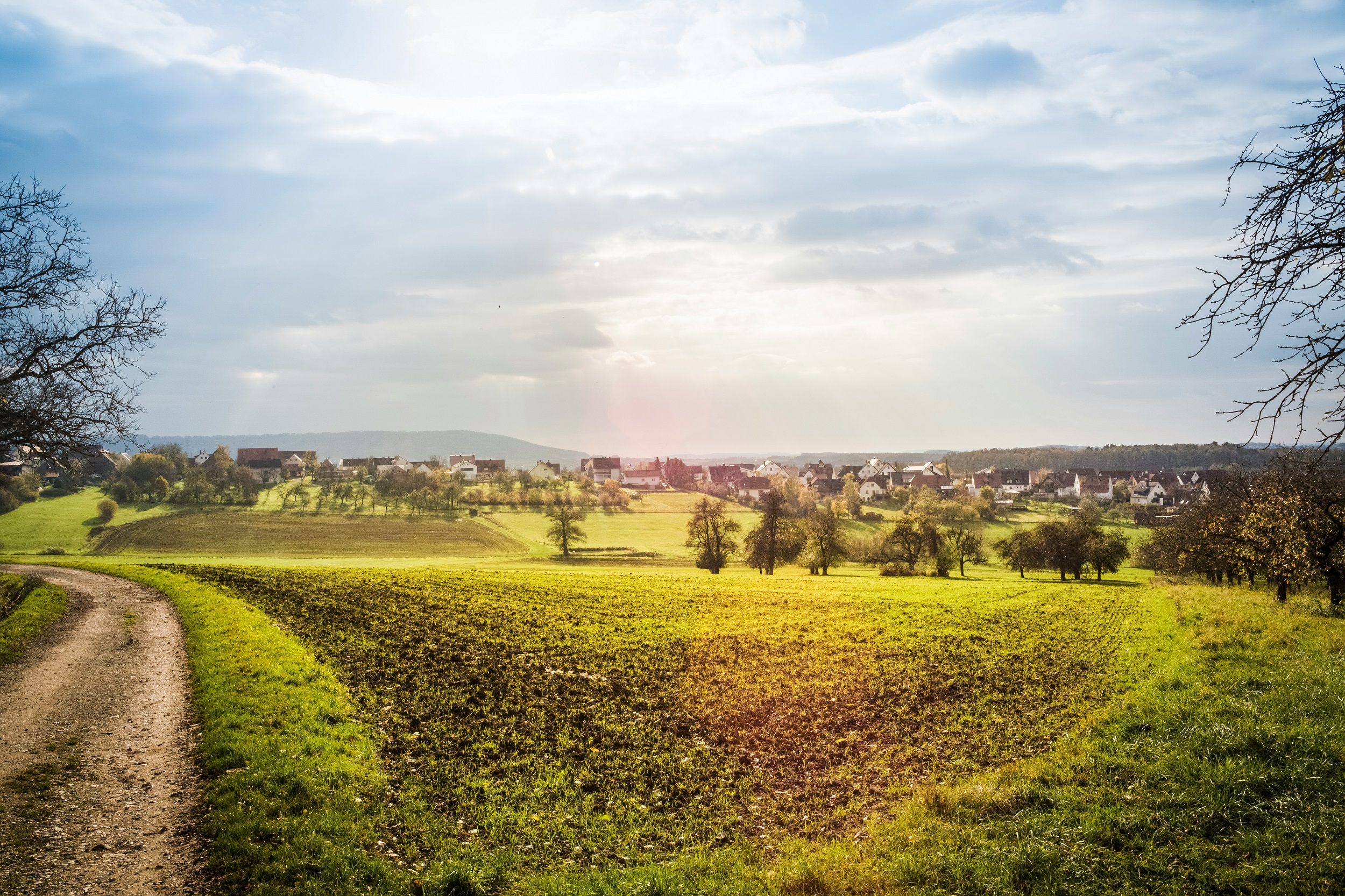 Council Adopts Nature Restoration Law