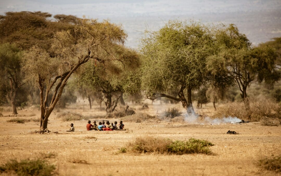 Rising temperatures, rising inequality: Insights from South Africa