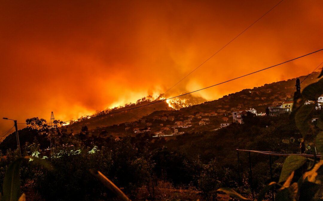 Adaptation and sustainable development are key to reducing the costs of wildfires