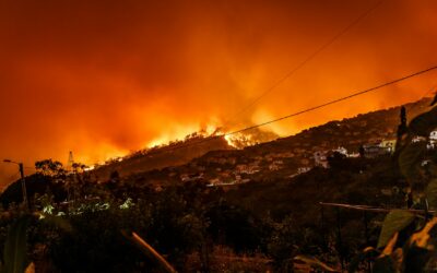 Adaptation and sustainable development are key to reducing the costs of wildfires