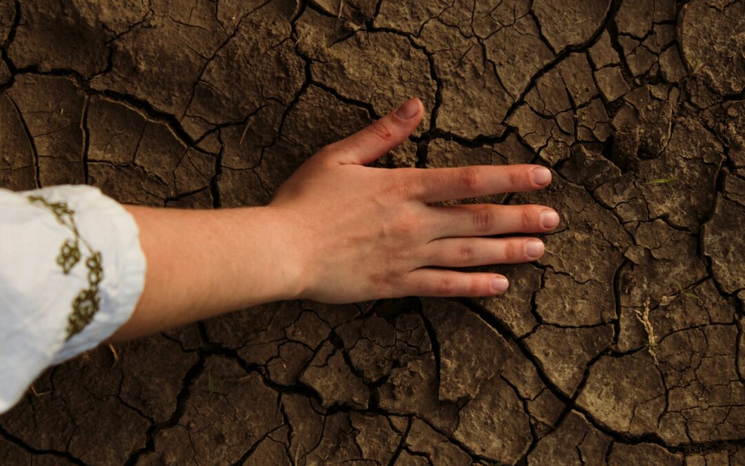 Rising heatwaves tied to fossil fuel and cement production